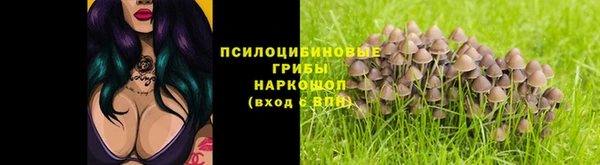 гидропоника Аркадак