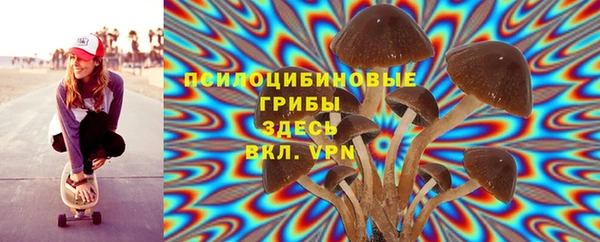 гидропоника Аркадак