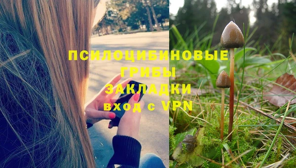 каннабис Арсеньев